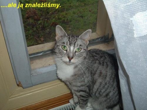 Obrazek