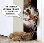 Obrazek