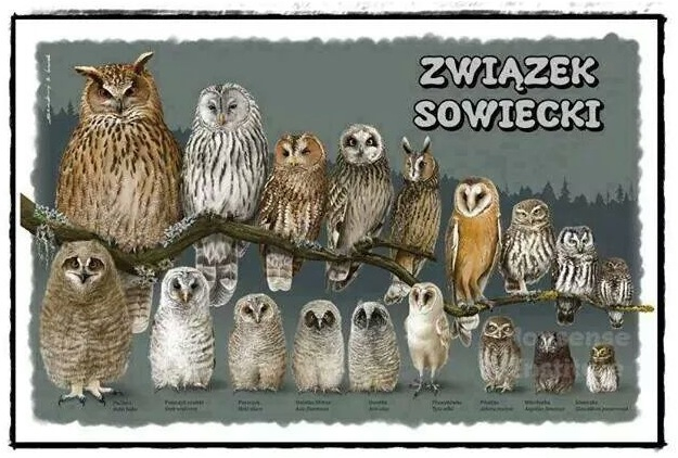 Obrazek