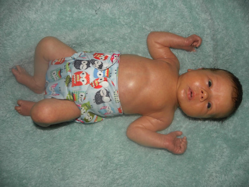 8d30486d2262ede4med.jpg