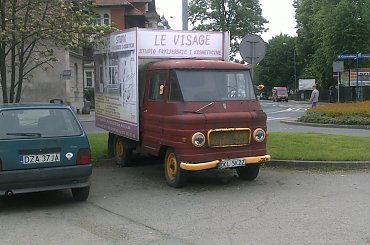 Żuk smutek #żuk #smutek