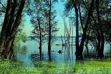 Topielisko #jezioro #zalew