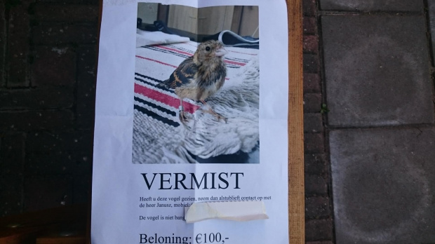 uciekł,ale się odnalazł :)