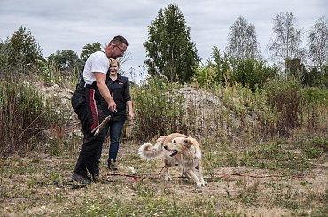 obrona #Avada #hovawart #IPO #IvyEvenHov #pies #sport