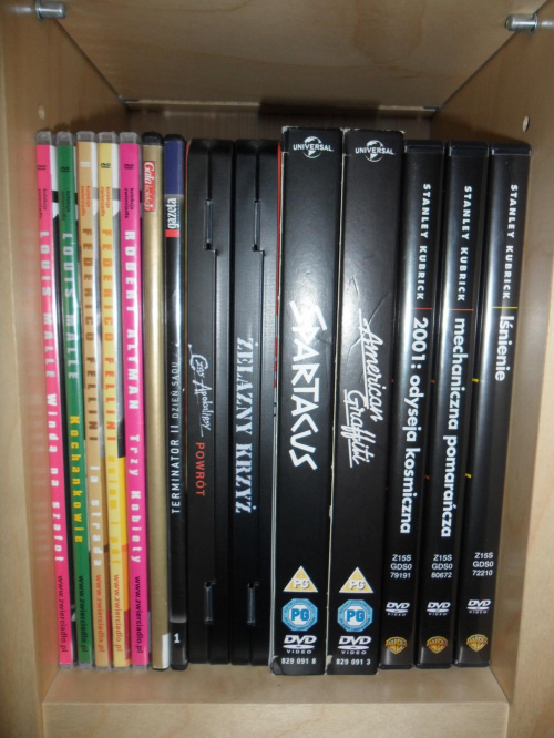 Filmy zbieram mniej więcej 2010/2011 roku. Jak widać w mojej kolekcji są tylko DVD i zanim doczekam się komentarzy typu: "Czemu nie zbierasz Blu-ray?", to wyjaśnię że nie kolekcjonuję ich, głównie ze