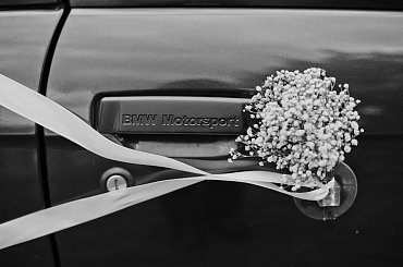 E30 JAGUAR BEMYWIFE #e30 #JAGUARBEMYWIFE #THLINE