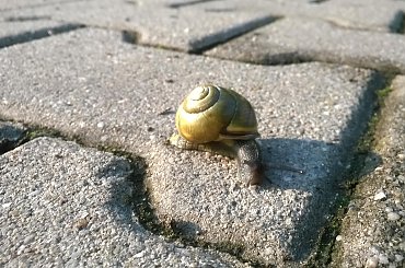 hobby fotografia #Chrzanów #Kraków #małopolska #Polska