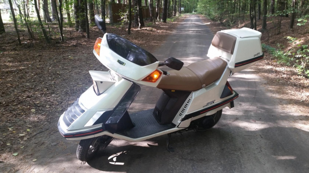 Spacy CH 125