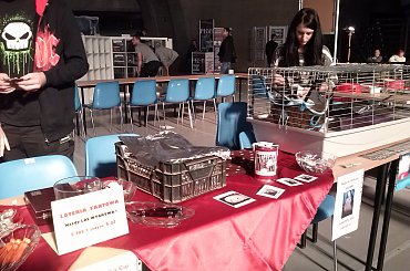 zaczynamy :) od łasuchowania..... #fretka #OSHF #SPF #targi #wystawa #ZooBotanika2014