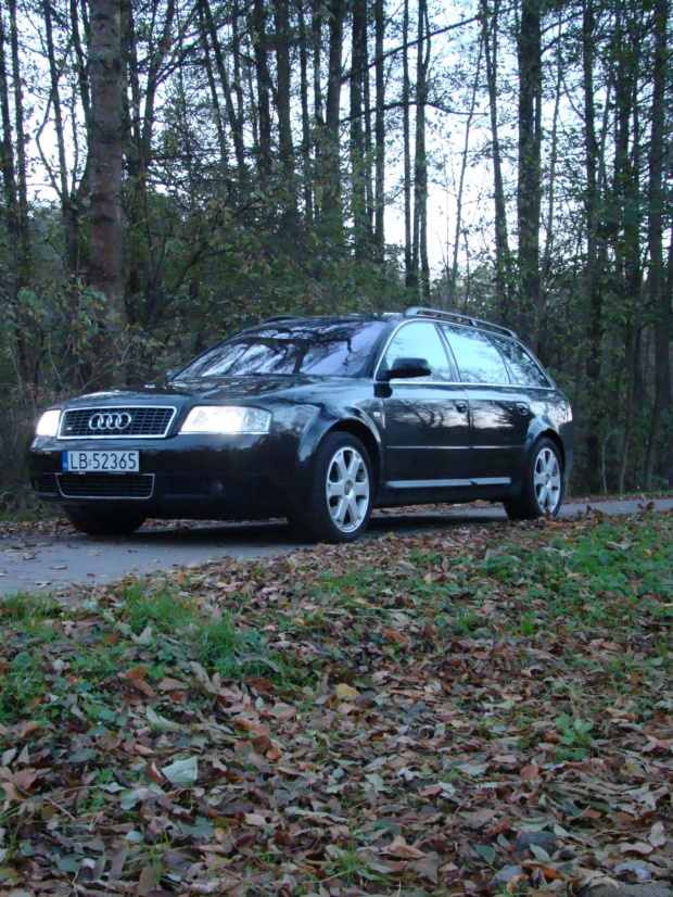 S6 w klimacie jesiennym