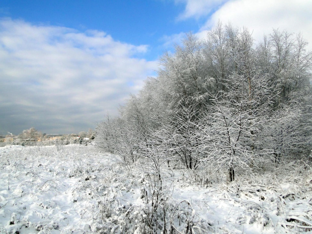 luty #krajobraz #śnieg #zima