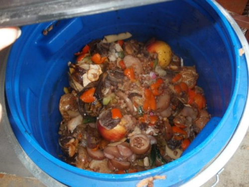 #kompost #topinambur