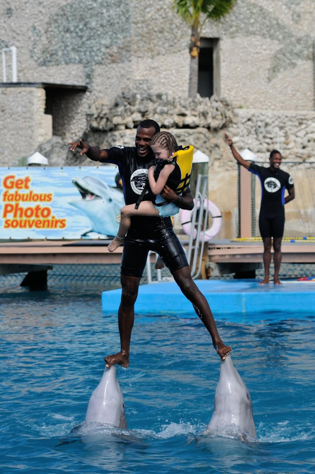 Delfin #delfin #dominikana