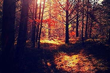 #burza #chmury #jezioro #las #podróże #pustynia #wędkarstwo