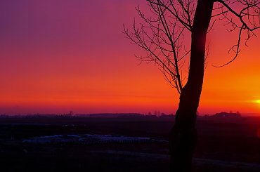 #krajobrazy #przyroda #drzewa #lasy #łąki #sad #staw #niebo #słońce #rośliny