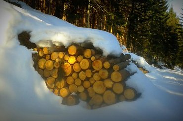 Kamesznica - Beskid Śląski #BaraniaGóra #BeskidŚląski #beskidy #góry