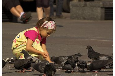 A W KRAKOWIE #Kraków #WojciechWrzesień #DzikaPolska #Ludzie #wojtekwrzesien