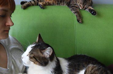 tajfun i nina #kociaki #kot #koteczki #koty