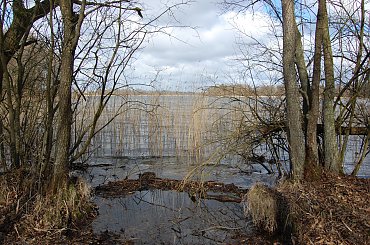 #las #jezioro #wiosna #Mazury #przyroda #krajobrazy