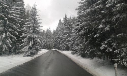 Zima, zdjęcie z zachodniej części Czech. #Zima #drzewa #las #droga