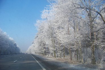 Zima, zdjęcie z trasy E40 #zima #drzewa