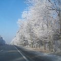Zima, zdjęcie z trasy E40 #zima #drzewa