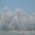 Zima, zdjęcie z trasy E40 #zima #drzewa