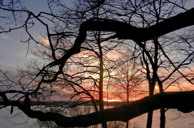 ...miejsca, gdzie drzewa rosną poziomo ...i chwytają światło w dłonie - mnie się nie udało, ale może jeszcze... #ZachódSłońca #Tuchomskie #Magda
